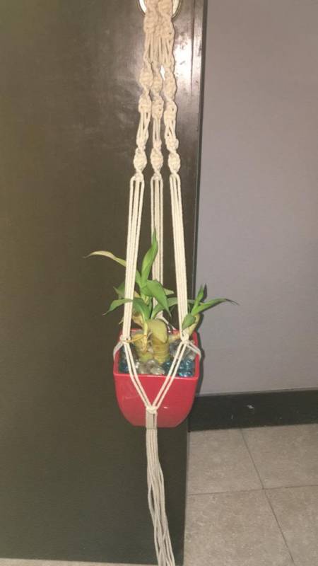Macrame Plant Holders small project for beginners